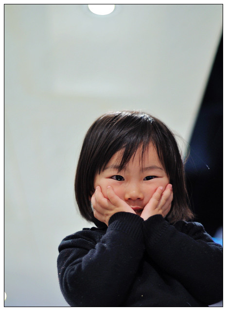 journal_insert_pic_75477617