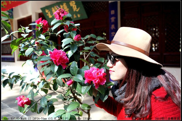 journal_insert_pic_75581387