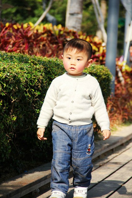 journal_insert_pic_75653012