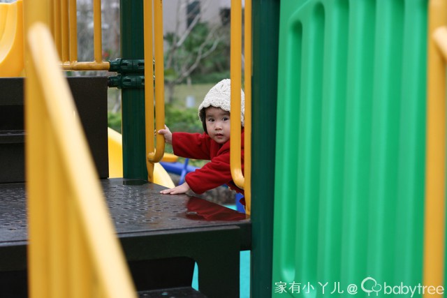 journal_insert_pic_75703185