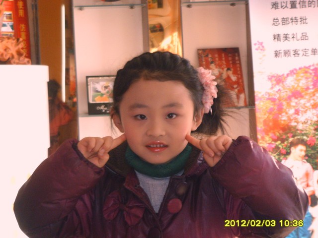 journal_insert_pic_75773256