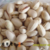 SNV30042_副本.jpg