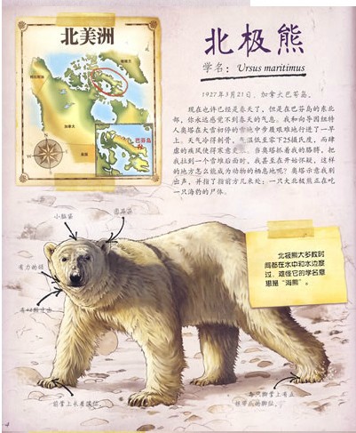 journal_insert_pic_75965307