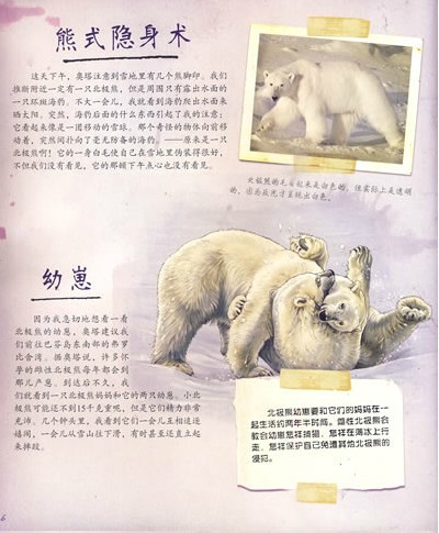 journal_insert_pic_75965304