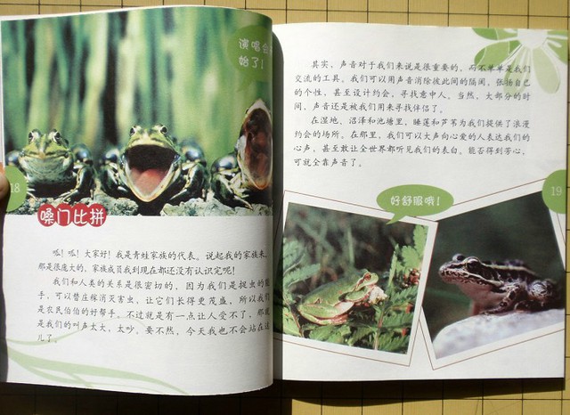 journal_insert_pic_75965260