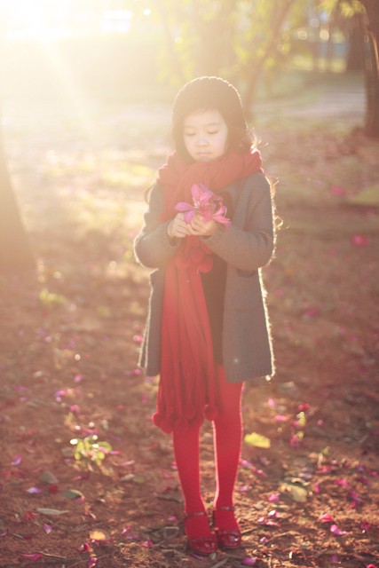 journal_insert_pic_75922139