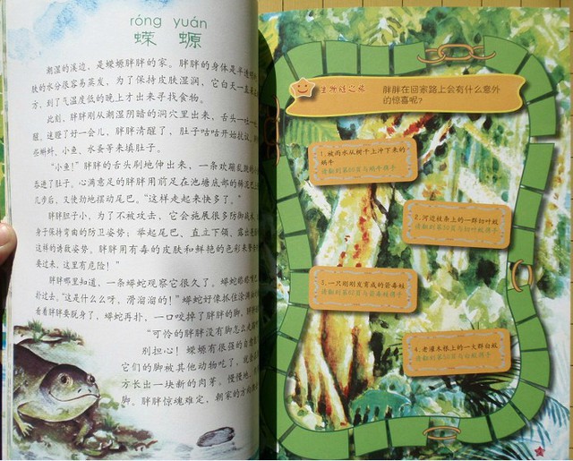 journal_insert_pic_75965336