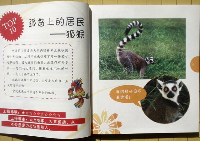 journal_insert_pic_75965264