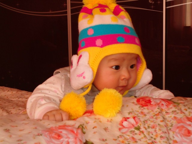 journal_insert_pic_76052565