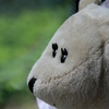 睫毛.JPG