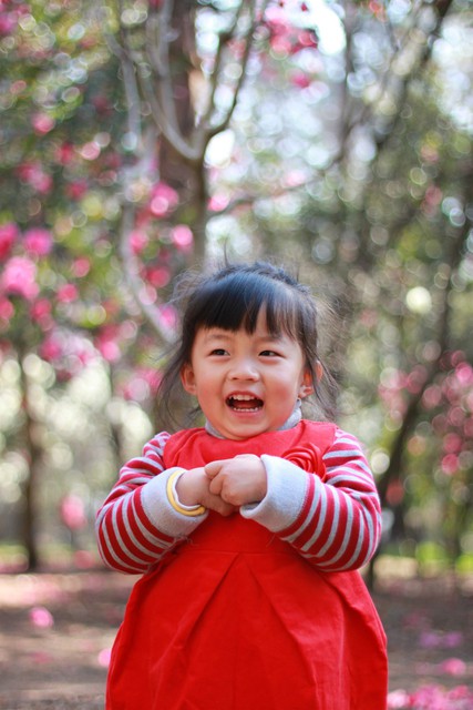 journal_insert_pic_76103554