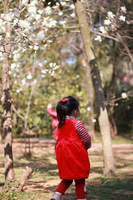 journal_insert_pic_76103598
