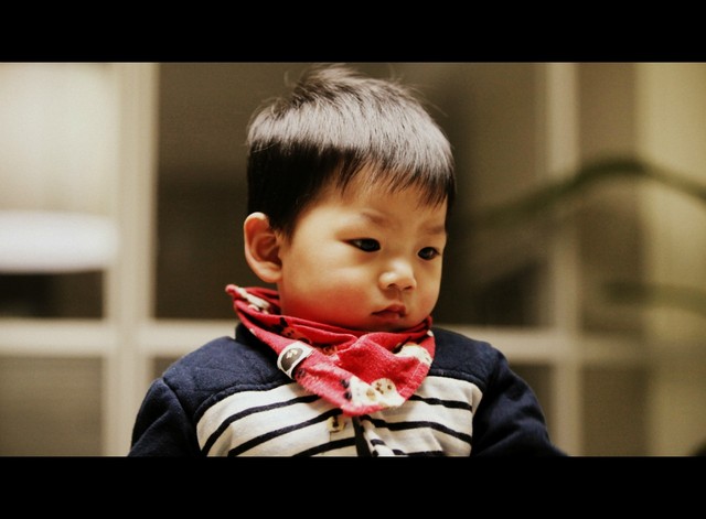 journal_insert_pic_76114571