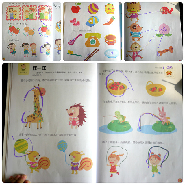 journal_insert_pic_76118914