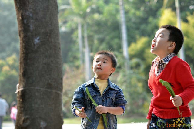 journal_insert_pic_76826553