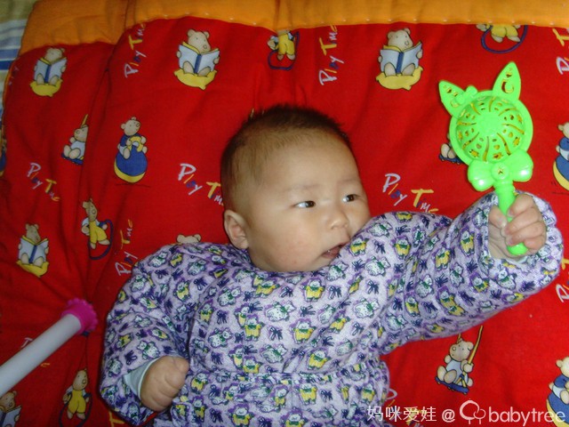 journal_insert_pic_76785625