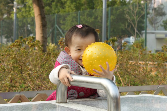 journal_insert_pic_76811649