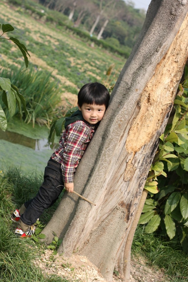 journal_insert_pic_76869282