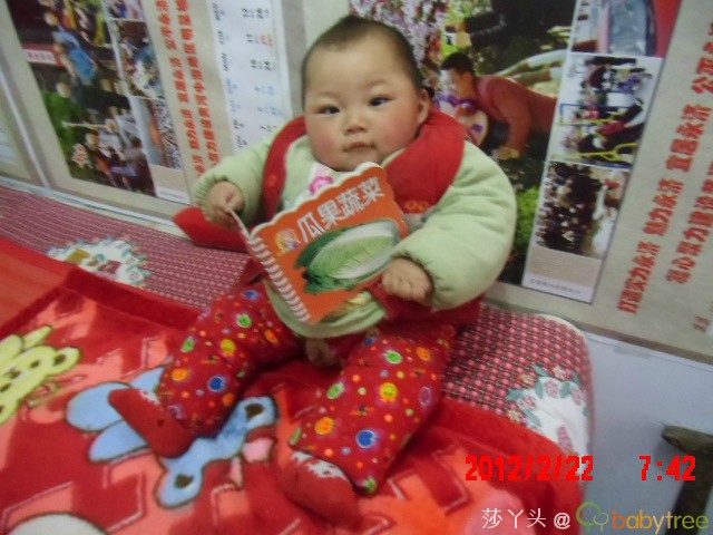 journal_insert_pic_76926282