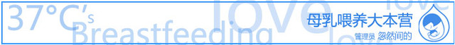 journal_insert_pic_78093077
