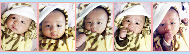 journal_insert_pic_78145530
