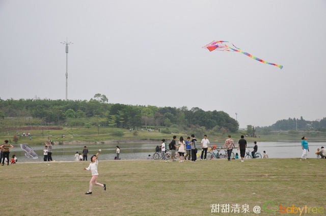 journal_insert_pic_79350666