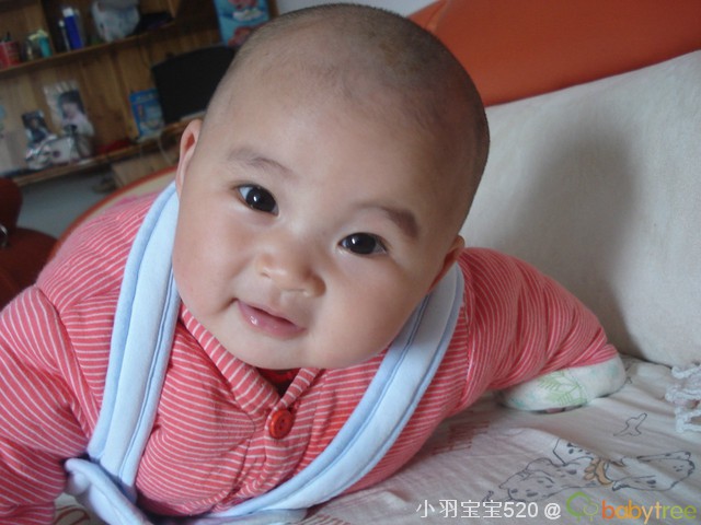 journal_insert_pic_79489465