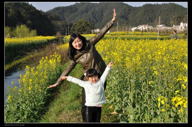 journal_insert_pic_79441094