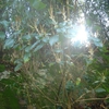 DSC09795.JPG