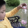 IMG206蝴蝶飞.jpg