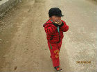journal_insert_pic_80554362
