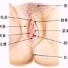 20090202121932187.jpg