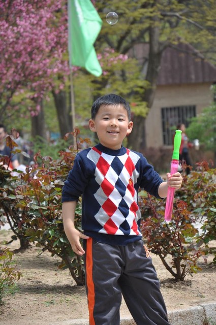 journal_insert_pic_81074667
