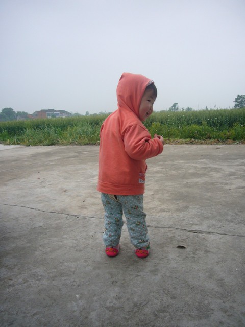 journal_insert_pic_81210015