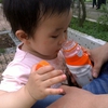 201205012461.jpg