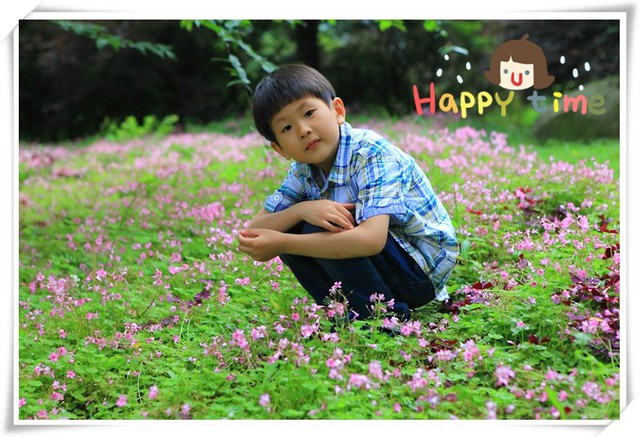 journal_insert_pic_82653413