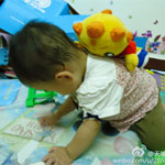 journal_insert_pic_87867363