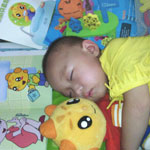 journal_insert_pic_87867365