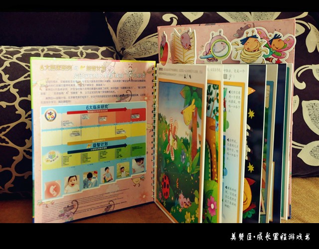 journal_insert_pic_90616096