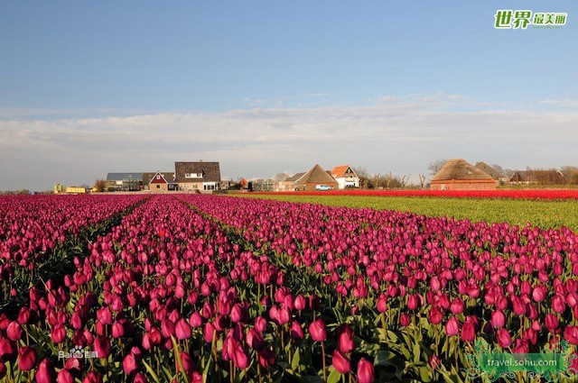 journal_insert_pic_98409822