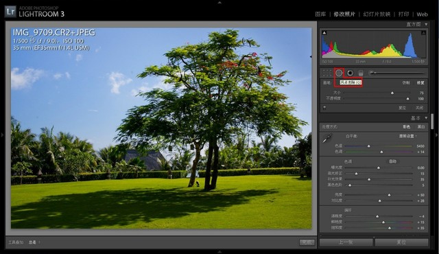 八 Lightroom 局部调整 牧西的日记 Babytree 宝宝树