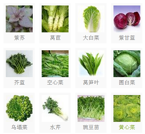 蔬菜分类大全