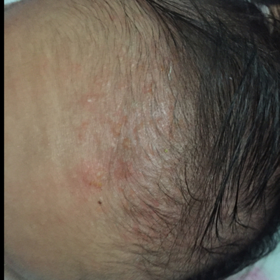 journal_insert_pic_453027715