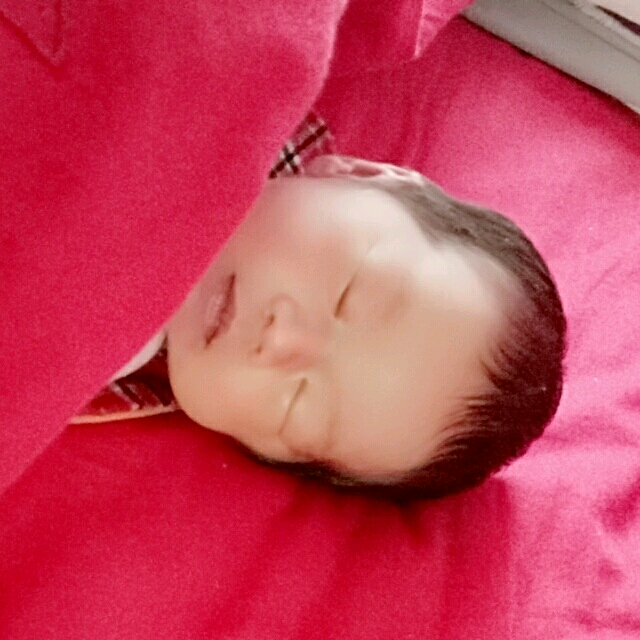【报喜】张艺阳出生了
