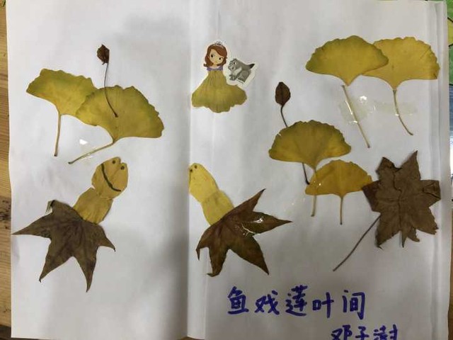 树叶拼贴画 树叶拼贴画