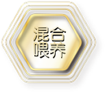 混合喂养