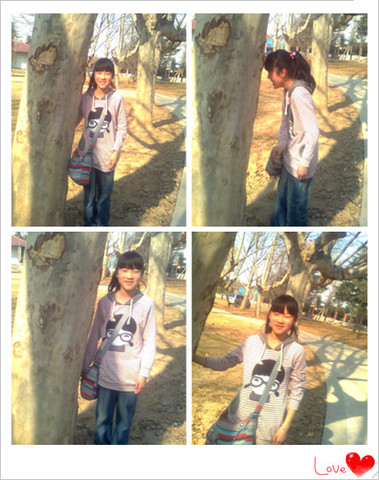 journal_insert_pic_55300784