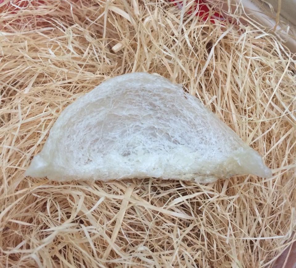 我怀二胎了，连续吃了3年燕窝，分享辨别燕窝好坏的经验。