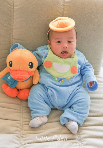 抢帽子的小胖纸