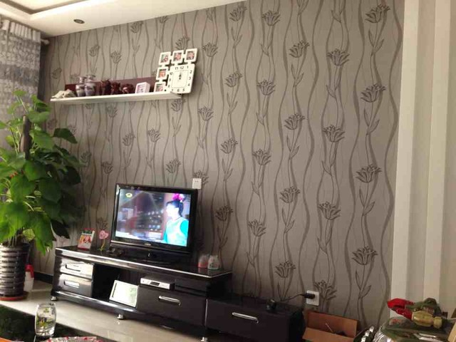 麻烦宝妈们发张家里电视背景墙的照片